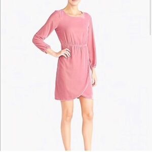 J. CREW Velvet Dress